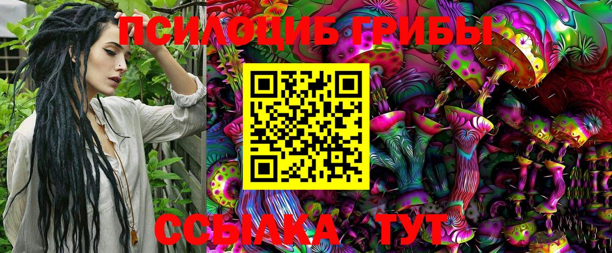Псилоцибиновые грибы MAGIC MUSHROOMS  Псилоцибиновые грибы Magic Shrooms  Железноводск  Вход с VPN 